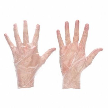Picture of  2 CASES - VINYL GLOVE POWDER FREE MEDIUM 100CT